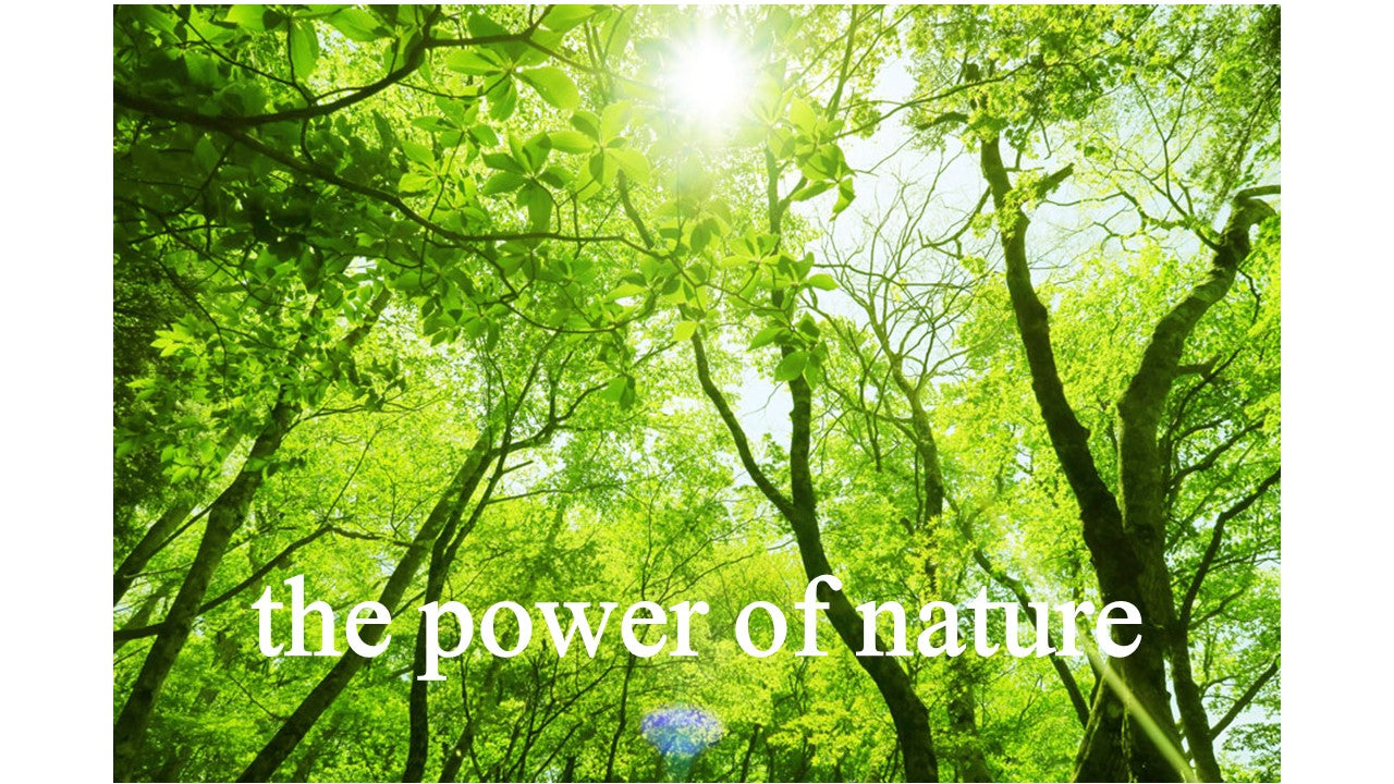 ”身体も心も美しくする”自然由来成分の「草木染め」