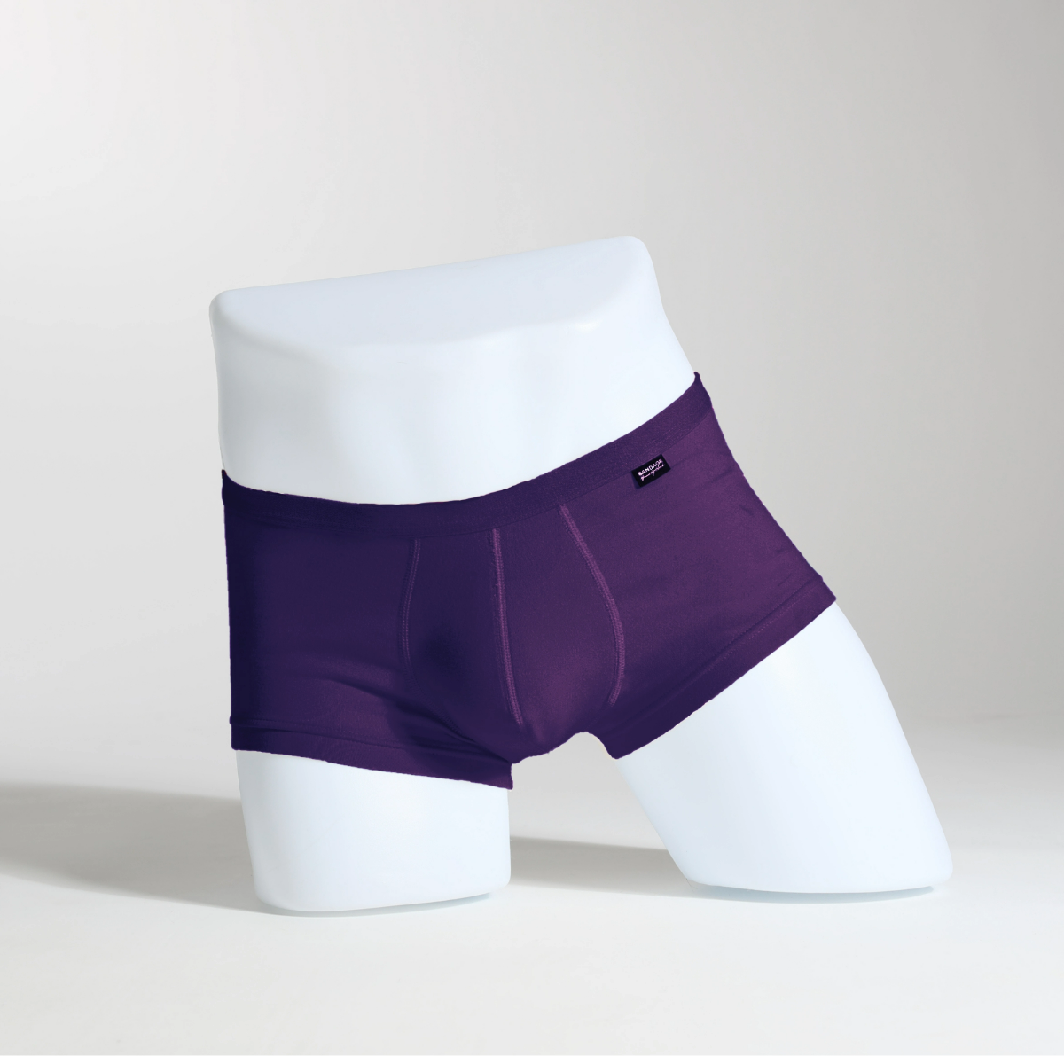 CONNERY（ヴァイオレット）